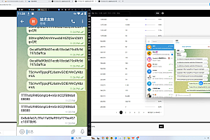 假TG假飞机2.0中文版窜改钱包地址支持窜改三链带搭建教程