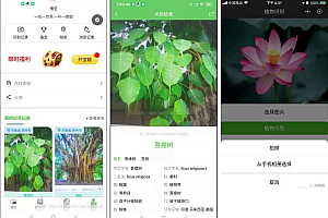 慧眼识花草小程序源码-支持自动查找与植物匹配的名称