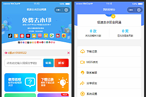 全网去水印独立版带解析接口预留服务器带前置(美化UI)