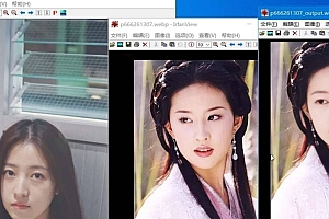 MagicMirror 1.0:智能AI换脸工具,让虚拟换脸更真实