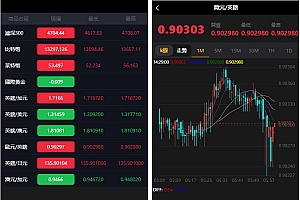 繁体USDT微交易微盘时间盘K线完整金融系统源码 已去后门+去除广告