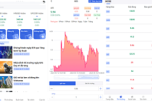 越南版股票源码