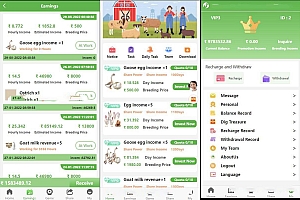 海外版理财系统源码 国际投资理财系统源码 项目投资理财源码