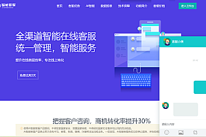 20国语言在线客服/带演示站地址