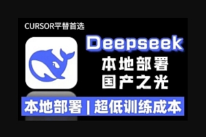 2025年deepseek R1 大型模型本地安装部署(文件+教程)本地部署,超低训练成本