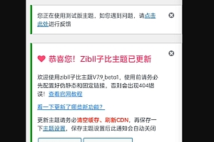 子比主题7.9开心公测版过授权