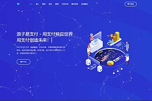 浪子易支付更新版-支持多客服轮询-解密后的源码