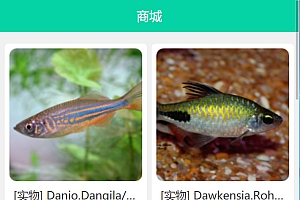 养鱼金融投资理财源码 支持商城 抽奖 投资收益余额宝等! 双语言支持中英文