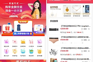 完美运行的返佣商城分销商城理财商城开源PHP+VUE源码