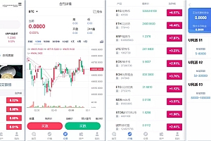 三语言BBANK修复版本/K线行情正常
