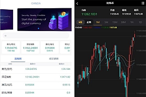 亲测领峰国际白色简洁微盘交易微盘二开K线完美版源码