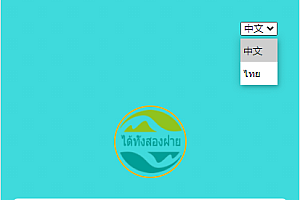 最新二开双语言(中文、泰语)怪兽共享充电宝源码