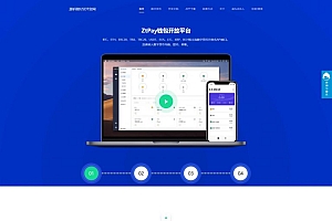 USDT币接口/官网