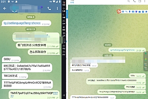 假飞机盗U系统源码 | 假Telegram系统源码 | 带视频教程