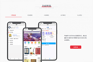 草莓CDMS原创内容分销系统-微信小说平台系统v1.0