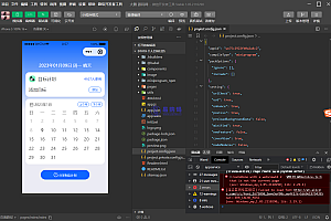 个人目标日历定制制作小工具微信小程序源码
