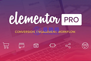 WordPress插件+弹窗生成器+主题生成器+可视化拖拽编辑器插件+300多个Designer Made模板+专业版