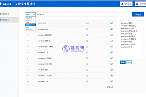 WBOLT热门关键词推荐插件v1.3.0 Pro破解版+即时关键词推荐