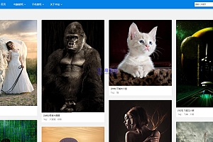 壁纸网站模板(带会员系统)pbootcms模板