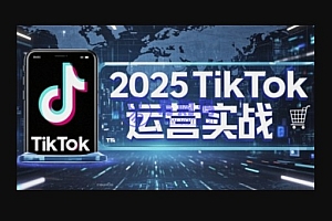2025TikTok电商运营,掌握TikTok店铺运营核心技巧,实现低成本高转化