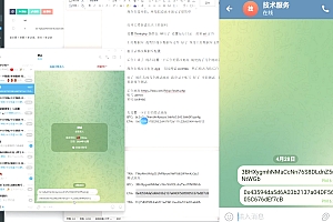 2025款高仿新版假飞机假TG源码/以及搭建教程
