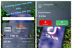 新版本海外tiktok多语言抢单系统源码/带文本搭建教程