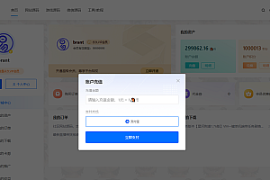 CEO总裁模板修复无法下载及充值问题