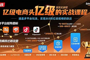 亿级电商头部卖家的实战课程:涵盖多平台玩法,实现从0到亿级规模的跃迁
