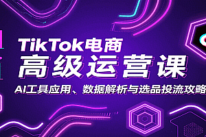 TikTok电商高级运营课:AI工具应用、数据解析与选品投流攻略