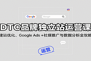 DTC品牌独立站运营课:建站优化、Google Ads + 社媒推广与数据分析全攻略