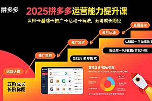 2025拼多多运营能力提升课:认知→基础→推广→活动→玩法,五阶成长路径