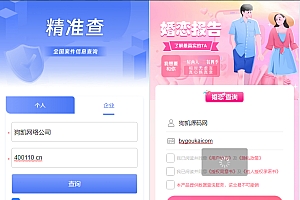 婚姻查询系统、个人企业案件涉诉案底查询系统网站源码