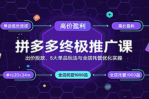 拼多多终极推广课:出价投放、5大单品玩法与全店托管优化实操