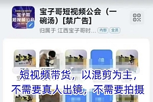 宝子哥头部团队短视频带货,以混剪为主,不需要真人出镜,不需要拍摄【更新8月】