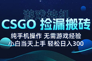9月最新游戏搬砖,CSGO纯挂机,不需要玩游戏,实现真挂机,月入1W+