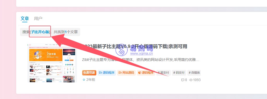 wp分词搜索,关键词搜索匹配WordPress插件